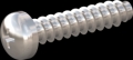screw for plastic: Screw STS-plus KN6032 3x14 - H1 stainless-steel, A2 - 1.4567 Bright-pickled and passivated