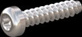 screw for plastic: Screw STS-plus KN6039 8x35 - T40 stainless-steel, A2 - 1.4567 Bright-pickled and passivated