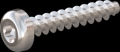 screw for plastic: Screw STS KN1039 1.8x10 - T6 stainless-steel, A2 - 1.4567 Bright-pickled and passivated