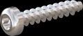 screw for plastic: Screw STS KN1039 2x10 - T6 stainless-steel, A2 - 1.4567 Bright-pickled and passivated