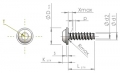 screw for plastic: Screw STS-plus KN6038 4x6 - T20 stainless-steel, A2 - 1.4567 Bright-pickled and passivated